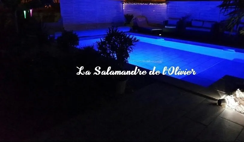 Apartment La Salamandre De L Olivier - Le Palmier Aubignosc
